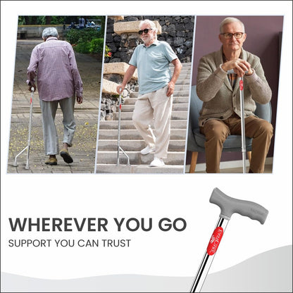 Pro SureWalk Walking Stick (INH Stick)